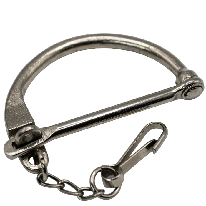 German duffel bag lock, nickel-plated steel D-ring with swing bar open and safety chain spring snap clip, white background