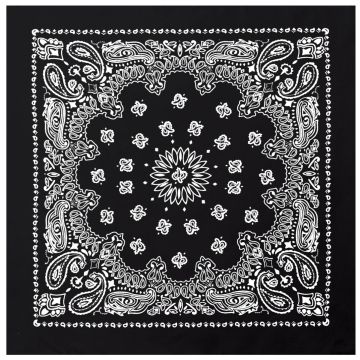 Rothco Trainman Black Paisley Bandanna