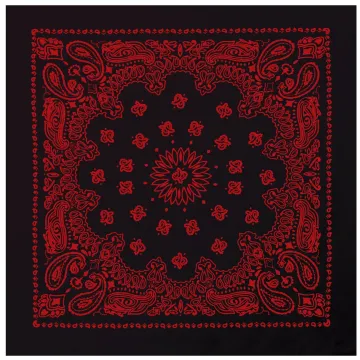 Rothco Trainman Black/Red Paisley Bandanna